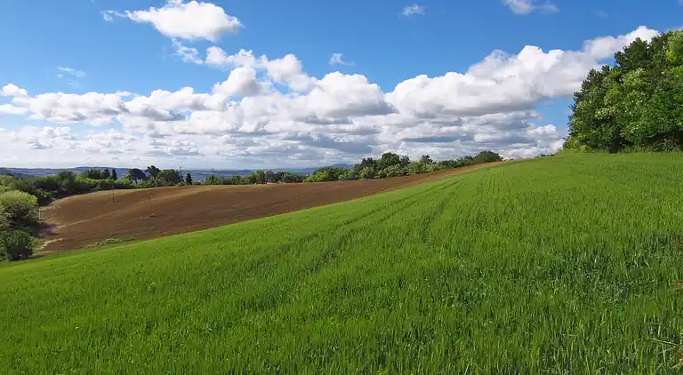 Ferielejlighed i Granarola