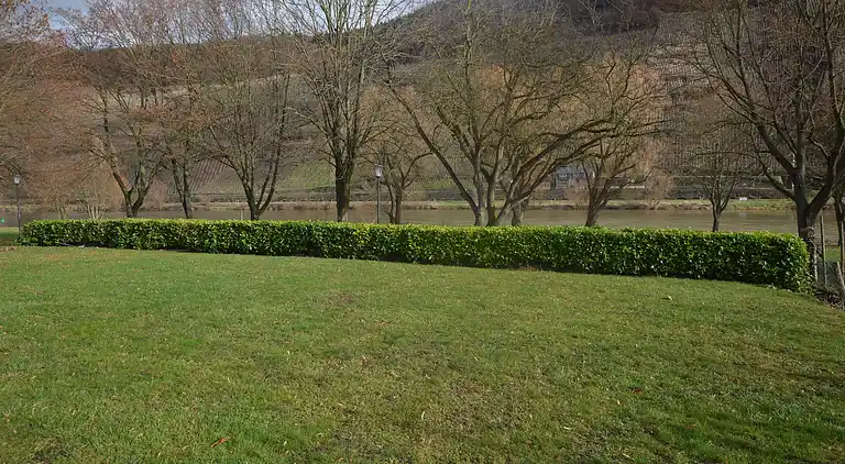 Ferienwohnung in Trittenheim