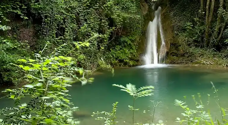 Holiday home in Riudaura