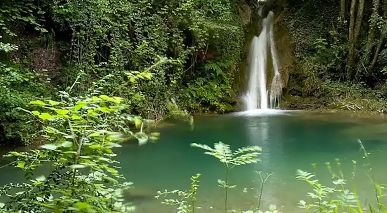 Sommerhus i Riudaura