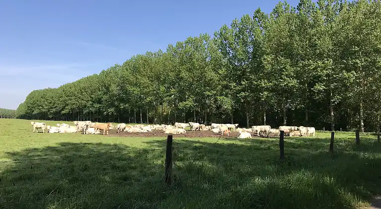 Holiday home in Anché