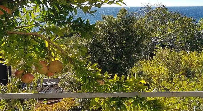 Ferielejlighed i Primošten