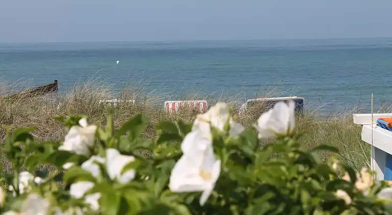 Ferielejlighed i Brusow