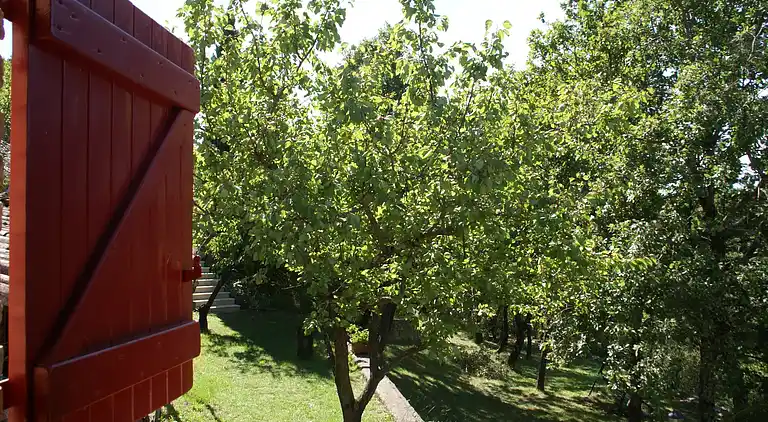 Sommerhus i Saint-Remèze