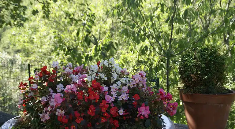 Sommerhus i Saint-Remèze