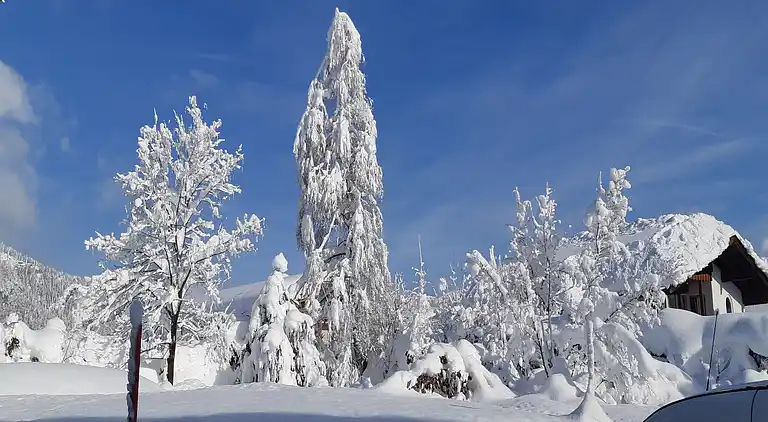 Hytte i Sankt Johann in Tirol
