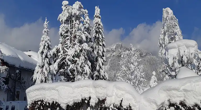 Hytte i Sankt Johann in Tirol