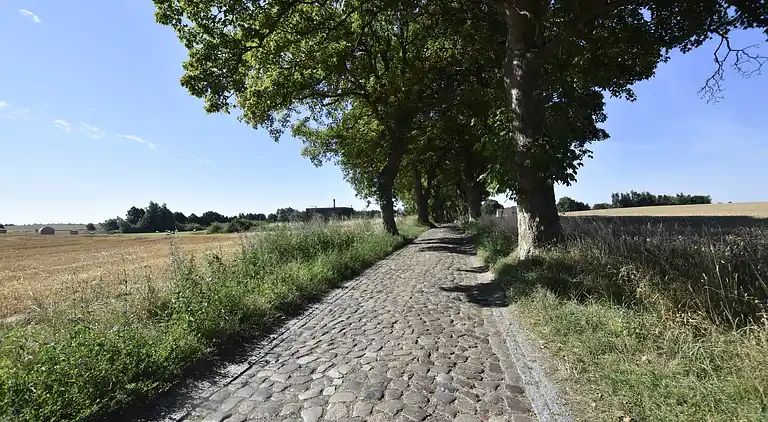 Ferielejlighed i Altenhagen