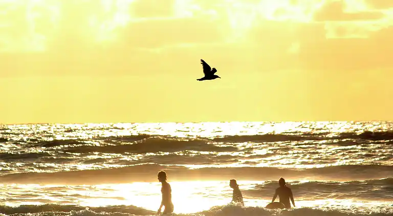 Sommerhus i Zandvoort
