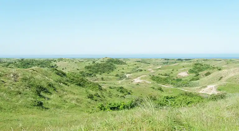 Sommerhus i Zandvoort