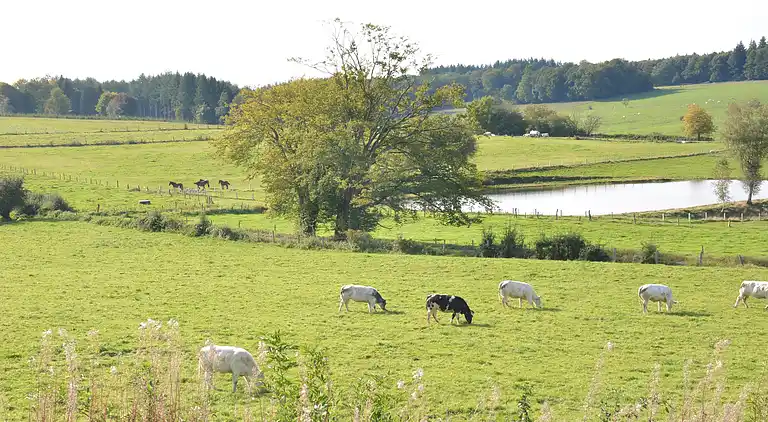 Sommerhus i Cornimont
