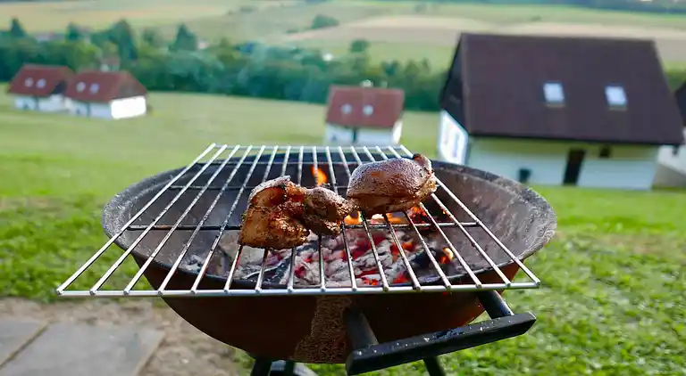 Manor house in Stárkov