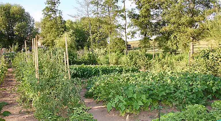 Sommerhus i Bannegon