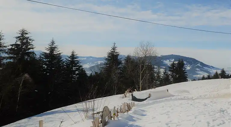 Lägenhet i Langenegg