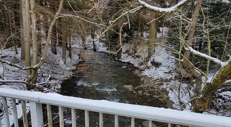 Ferielejlighed i Wildemann