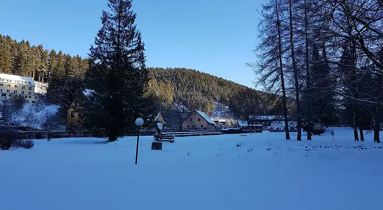 Ferielejlighed i Wildemann