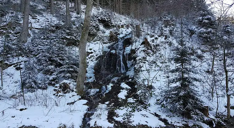 Ferielejlighed i Wildemann