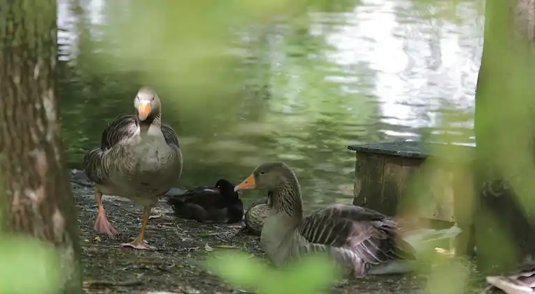 Holiday home in Arry