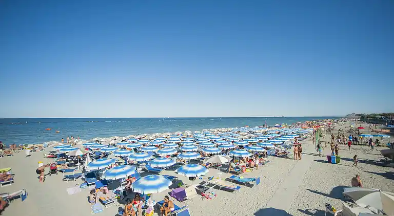 Cottage in Punta Marina