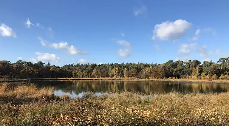 Gårdhus i Schalkhaar