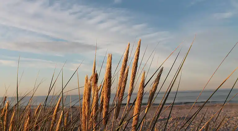 Sommerhus i Jörnstorf