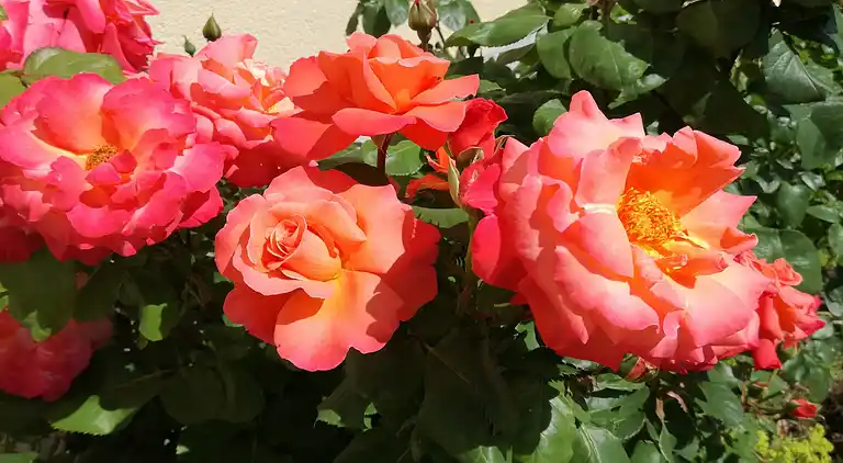 Apartment in Heimburg