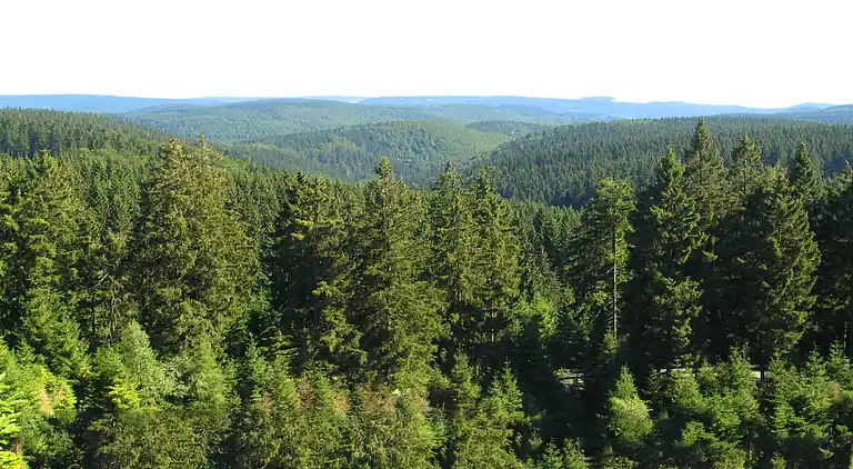 Apartment in Frauenwald