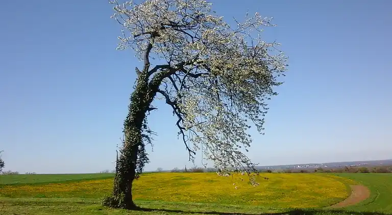 Holiday home in Servance