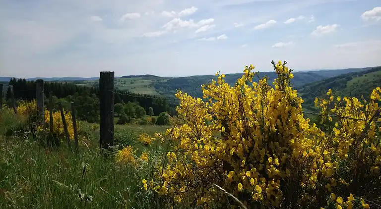 Holiday home in Servance