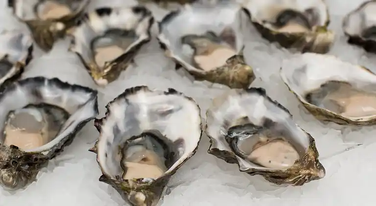 Holiday home in Château-d'Olonne