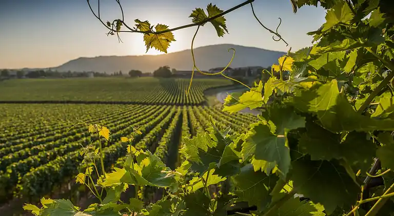 Ferielejlighed i Marone