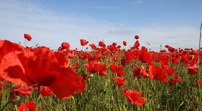 Apartment in Boiensdorf