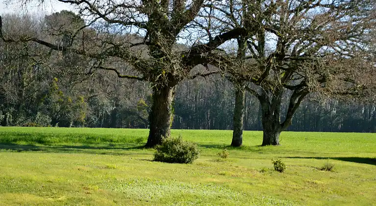 Casa de vacaciones en Assérac