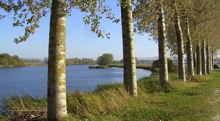 Herregård i Sint-Jan-in-Eremo