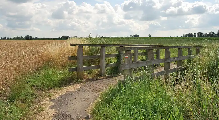 Herregård i Sint-Jan-in-Eremo