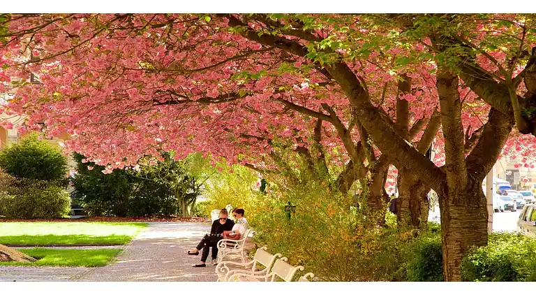 Sommerhus i Nové Město
