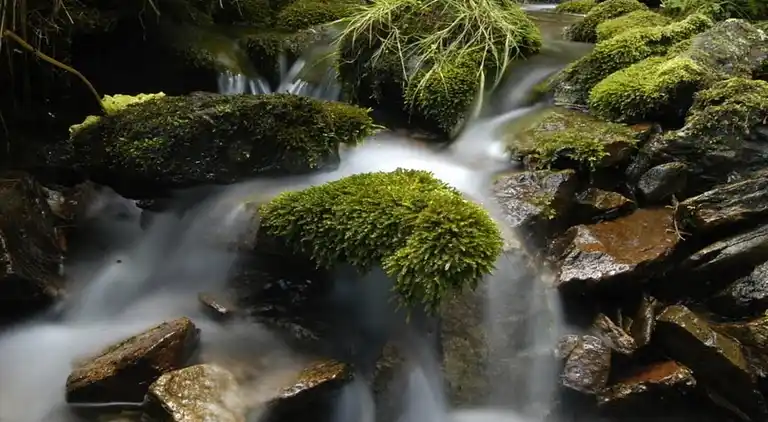 Sommerhus i Nové Město