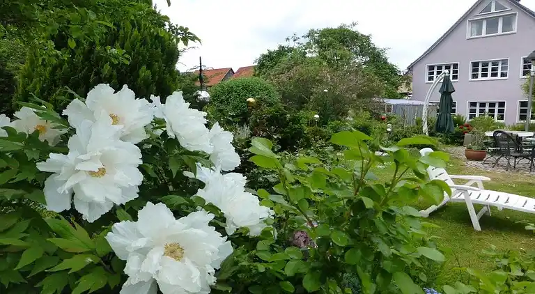 Ferienwohnung in Emsetal