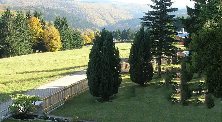 Apartment in Frauenwald