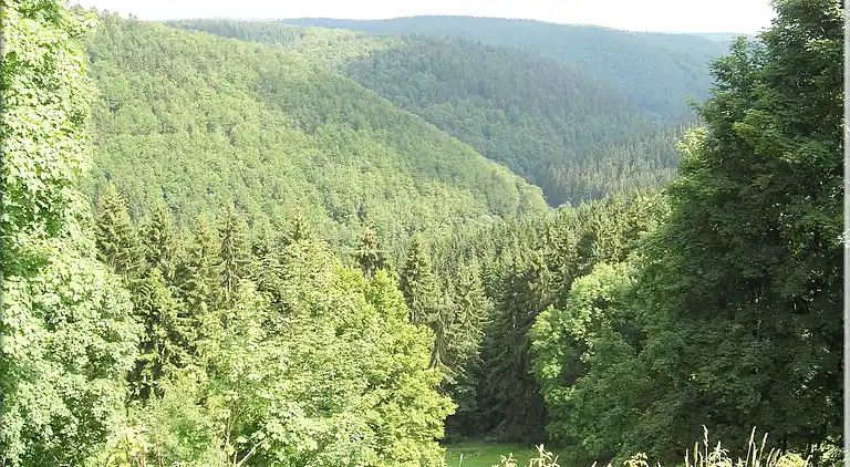 Apartment in Frauenwald