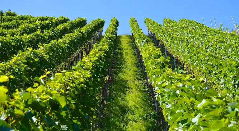 Sommerhus i Frontenac