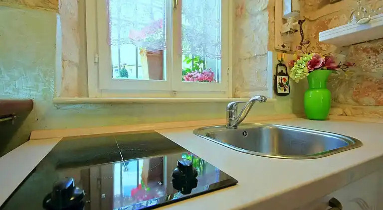 Ferienhaus in Rošini