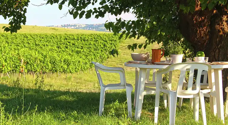 Casa señorial en Montecassiano