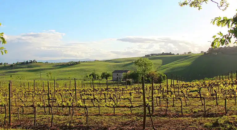Casa señorial en Montecassiano