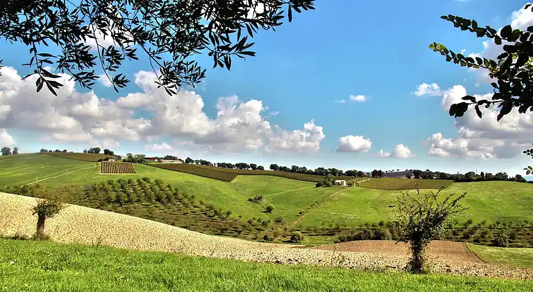 Casa señorial en Montecassiano