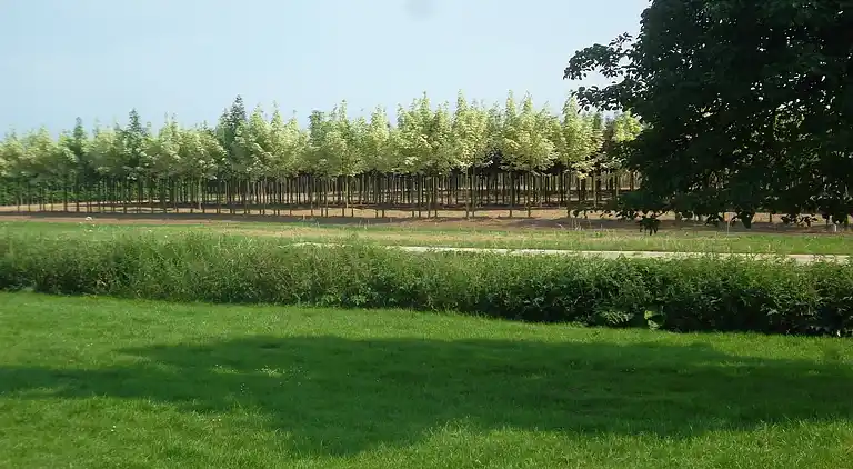 Holiday home in Kesteren