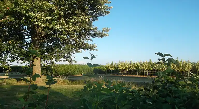 Holiday home in Kesteren