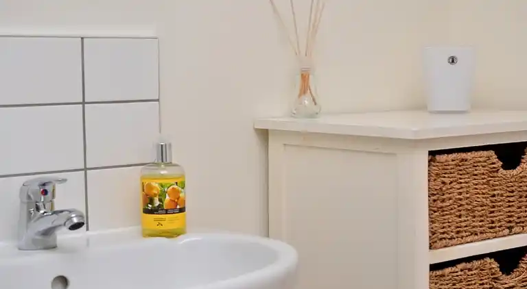 Holiday home in Dartmouth