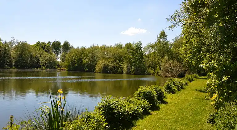 Holiday home in Bertogne