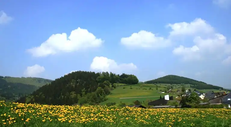 Ferielejlighed i Schwalefeld